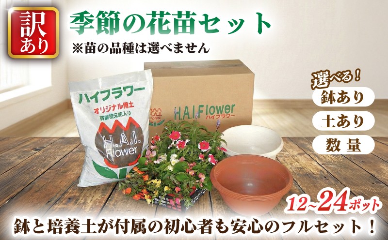 
                  品種 おまかせ 寄せ植え  選べる セット 季節のお花  花 ガーデニング 園芸 花苗 お花 寄植え 鉢花 鉢植え 鉢なし ミックス 母の日 敬老の日 プレゼント ギフト 庭 植物 ハイフラワー 埼玉県 羽生市
                