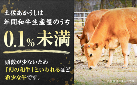 土佐あかうし 塊肉ステーキ 約500g（サーロイン）【株式会社Dorago】[ATAM045]