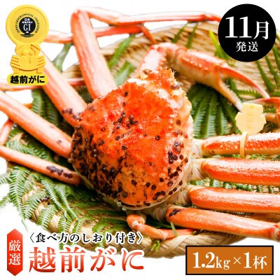 ≪浜茹で≫ 越前がに 特大サイズ(生で1.2kg以上) × 1杯【11月発送分】【配送不可地域：離島・北海道・沖縄】【1260048】