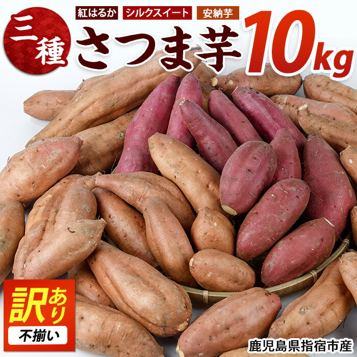 【ふるさと納税】＜期間限定＞＜訳あり・不揃い＞鹿児島県指宿市産！家庭用さつまいも3種詰め合わせセット(合計約10kg) 鹿児島 さつまいも さつま芋 サツマイモ 紅はるか シルクスイート 安納芋 スイーツ セット 常温【らくと農園】