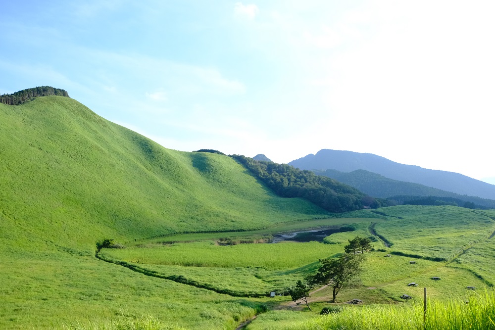 【令和7年産(特別栽培米)】曽爾村ブランド米(コシヒカリ)5kg(白米)