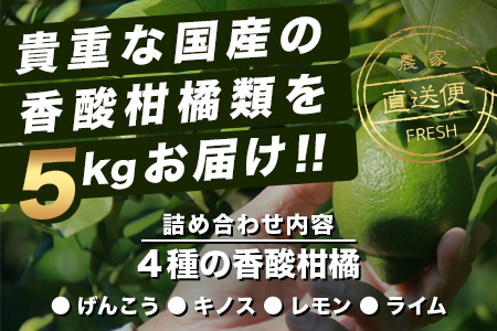 B-366 香酸柑橘類セット （リスボンレモン・キノス・げんこう・ライム）【約5kg 】佐賀県 鹿島市