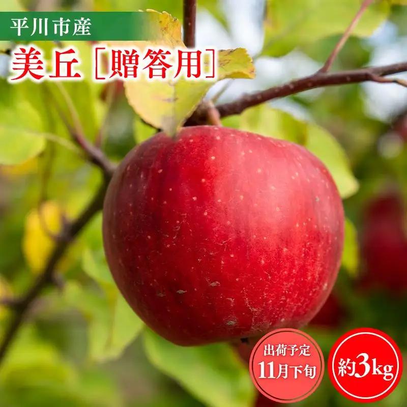 りんご 贈答用美丘3kg りんご