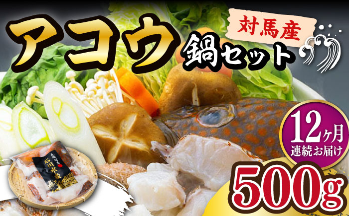 
            【全12回定期便】【 対馬産 】 アコウ ( キジハタ ) 鍋 セット 500g 《対馬市》【石川水産】 水炊き 高級 鮮度抜群 海鮮 [WAB017]
          