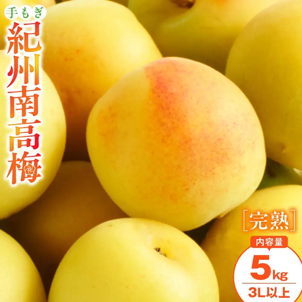 手もぎ 完熟南高梅 5kg 大粒 3Lサイズ以上 谷本農園