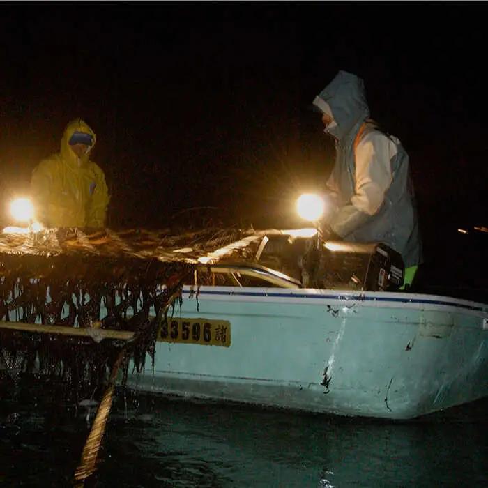 【全3回定期便】有明海の焼きのり 全形銀4帖（全形10枚分×4）海苔 焼き海苔 やきのり[FCO004]