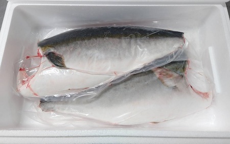 オリーブハマチ　冷凍　カマ・鱗付き半身２枚　約3kg（原体4.6kg）【B-55】