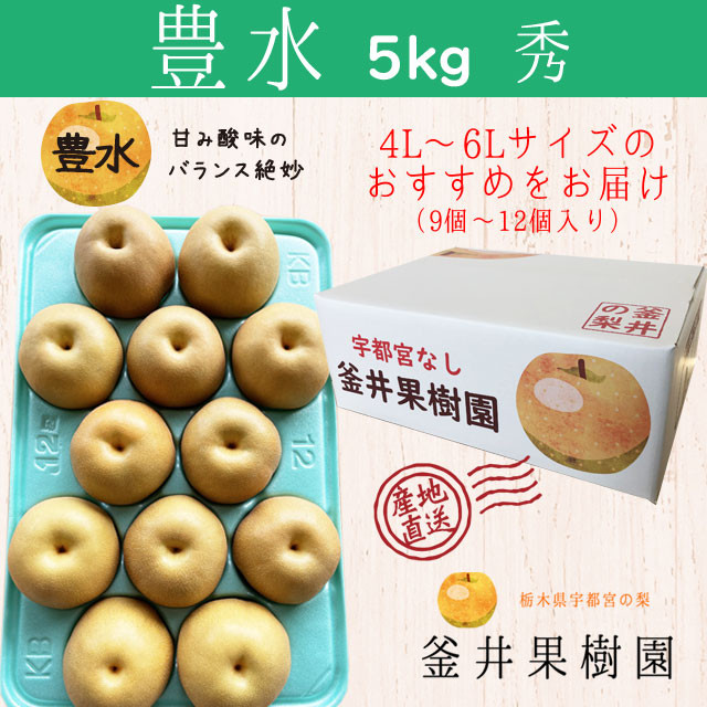 
                  豊水 5kg 9～12玉 | 栃木県産 宇都宮市 梨 なし 豊水 フルーツ 果物 旬 産地直送 ※2026年8月～発送
                