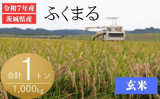 724 【令和7年産】茨城県産 玄米 ふくまる 1t 1000kg (30kg×34袋)【石崎商店】