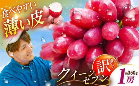 ぶどう 【2026年先行予約】【10個限定】【ご自宅用】クイーンセブン 1房（約350g） [AIAB008] ぶどう
