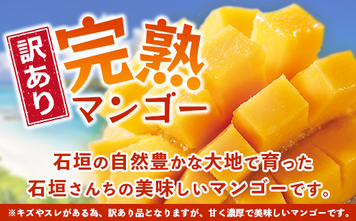 2026年発送分【先行予約】【訳あり】石垣島産 マンゴー (アーウィン種) 9～12玉(箱含め約5kg) 《2026年7月以降より順次発送》《樹齢30年の木で育ったマンゴー》｜産地直送 沖縄 石垣島 