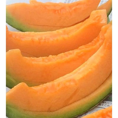 【訳あり】家庭用2026年夏発送　岸田農園北海道メロン3玉(1玉1.5kg)30セット限定