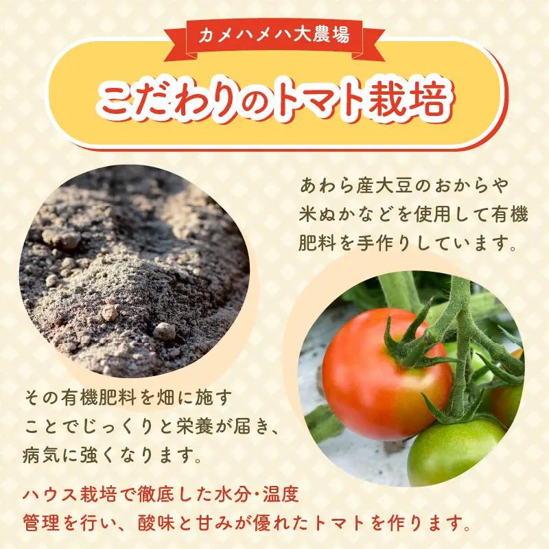 100％完熟トマトジュース 300ml×4本 《朝食に休息時間におすすめ》／ ジュース トマト  [aw018-a001]