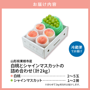 【2026年】東根市産 白桃（品種おまかせ）＆シャインマスカット 詰め合わせ 秀品 化粧箱入り 2kg 山形県 東根市 hi027-243（先行予約 令和8年産 山形県 東根市 果物 フルーツ 桃 白