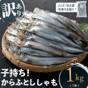 【ふるさと納税】【訳あり】山田の子持ちからふとししゃも 計1kg(1袋) 子持ちからふとししゃも 子持ち ししゃも シシャモ 無選別 訳あり 簡易包装 ジッパー付 チャック付 魚介 メス 卵 冷凍 小分け 鹿児島県 垂水市【山田水産】W-1804