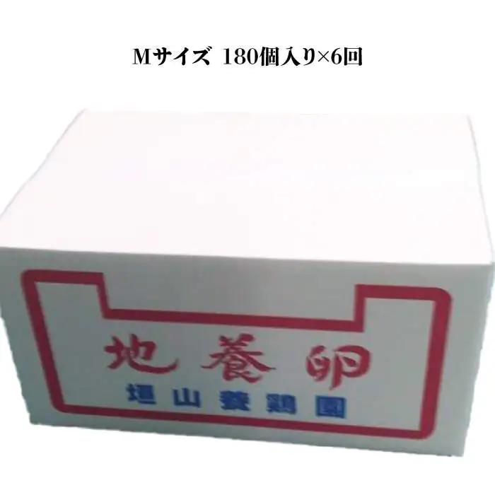 【6回定期便】最高級 卵 地養卵 Mサイズ 180個×6回定期便 長崎県産 西海市 たまご 卵 玉子 タマゴ 鶏卵 オムレツ 卵かけご飯 朝食 料理 人気 卵焼き＜垣山養鶏園＞ [CBB011]