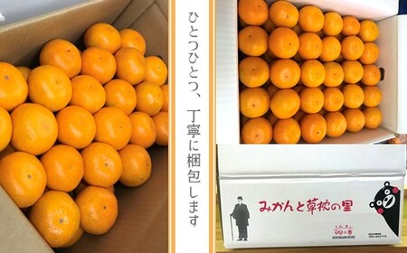 温州みかん 5kg 【熊本玉名・みかん専門店より】 | フルーツ 果物 くだもの 柑橘 ミカン みかん 玉名 たまな 熊本県 玉名市