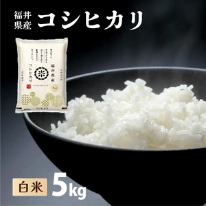【定期便3回】福井県産 コシヒカリ 精米 5kg（5kg×1）＜令和7年産 新米 / 数量限定 ＞【米 コメ お米 精米 白米 無洗米 玄米 ご飯 飯 こしひかり ブランド米 国産】[095-t3-a002] 