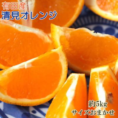 ふるさと納税 有田川町 【発送月固定定期便】有田のこだわりが詰まった旬のフルーツ定期便全3回 |  | 03