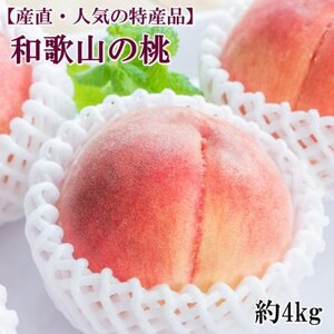 【産直・人気の特産品】和歌山の桃　約4kg・秀品【2025年度発送分】(日高町)【配送不可地域：離島・北海道・沖縄県】【1218059】
