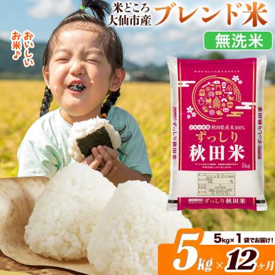 ふるさと納税 大仙市 米《12ヶ月》  ブレンド米【無洗米】5kg|22_ssn-040512m_sf