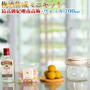 【ふるさと納税】梅酒作成ミニキット（ウォッカベース） 200ml | 最高級紀州南高梅 南高梅 和歌山 紀州 ウォッカ ウォッカ梅酒 クラフト梅酒 梅 うめ