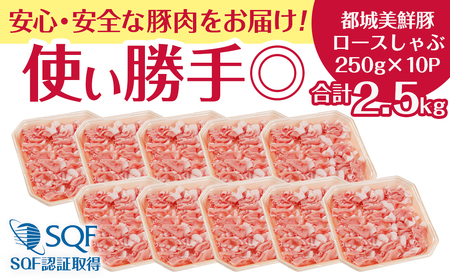 都城美鮮豚ロースしゃぶしゃぶ3kg(300g×10パック)_AC-5405_(都城市) 豚肉 ミルフィーユ鍋 しゃぶしゃぶ 炒め物 丼物 アレンジ豊富 パック詰め 