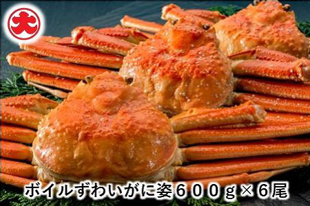ボイルずわいがに姿600g×6尾 D-01053