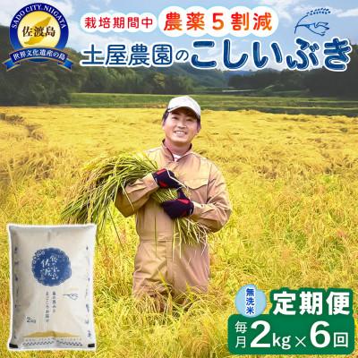 ふるさと納税 佐渡市 【毎月定期便】佐渡島産こしいぶき 無洗米2Kg 土屋農園 農家直送 栽培期間中農薬5割減　全6回