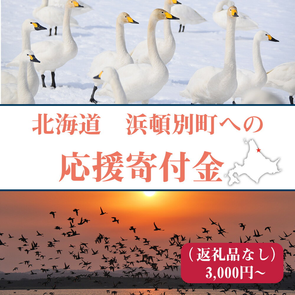 【ふるさと納税】北海道 浜頓別町☆応援寄付金☆ 選べる応援寄付金【返礼品なし】北海道ふるさと納税 浜頓別町 ふるさと納税 北海道 寄付のみ 返礼品なし