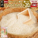 【ふるさと納税】【内容量が選べる！】みやこんじょ育ち都城産ひのひかり≪みやこんじょ特急便≫ - ヒノヒカリ ひのひかり お米 内容量が選べる 5kg/10kg/20kg 都城産 送料無料 SKU-K701【宮崎県都城市は2年連続ふるさと納税日本一！】