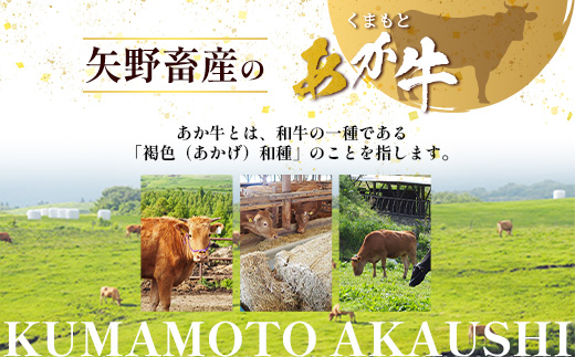 くまもとあか牛 肩ロース 焼肉用 徳用 500g×2パック 計1kg あか牛 ブランド牛 焼肉 焼き肉 ロース ヘルシー 