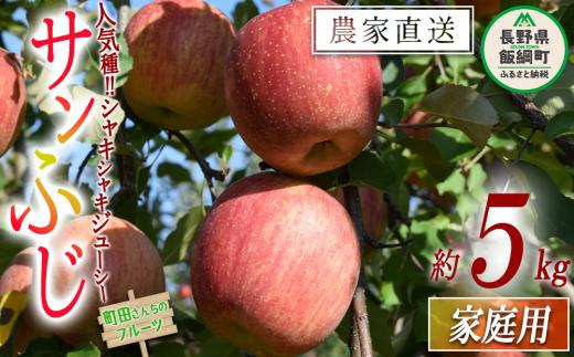 りんご サンふじ 家庭用 5kg 沖縄県への配送不可 2026年12月上旬頃から2027年2月上旬頃まで順次発送予定 町田さんちのりんご 長野県 飯綱町 [0604]