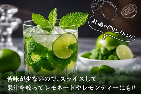 訳あり 数量限定 グリーンレモン りのか 計10kg以上 期間限定 フルーツ 果物 くだもの 柑橘 レモン 檸檬 レモンティ レモネード 国産 食品 デザート スイーツ 人気 おすすめ ご家庭用 訳ア