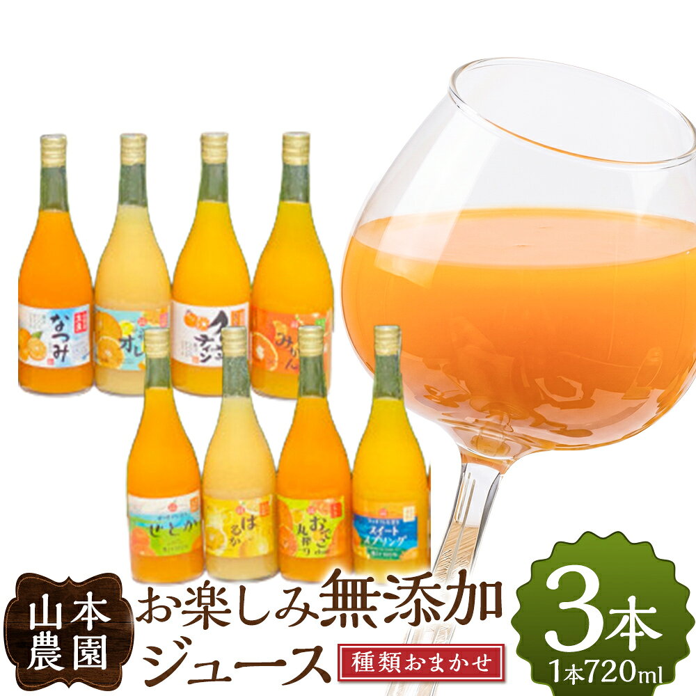 【ふるさと納税】山本農園のお楽しみ無添加ジュース 3本セット 100％ジュース みかんジュース 温州みかん クレメンティン スイートスプリング せとか なつみ はるか おでこちゃん ニューサマーオレンジ みかん ミカン フルーツ 果物 ミネラル豊富 太良町 国産 贈答用 N118x1