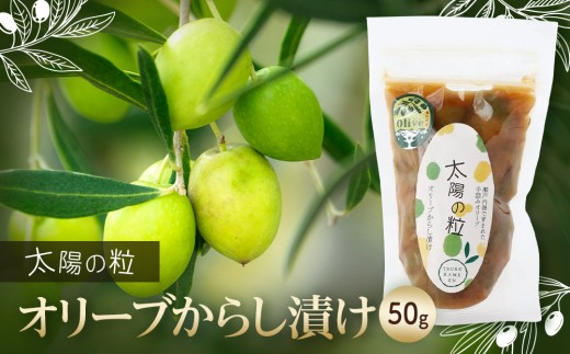 
                  【11月~12月限定】太陽の粒 からし漬け50g
                