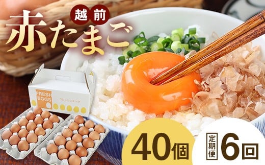 
            【定期便6回】ミネラルを豊富に含んだ越前赤玉子40個（36個＋卵割れ補償4個）2023年2月28日テレビ朝日　羽鳥慎一【モーニングショー】　＜知っておきたいＮＥＷＳ検定＞
「ふるさと納税で異変・高騰の卵人気」コーナーにて　本返礼品が取り上げられました！
          