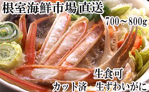 A-28227【年内配送可】  根室海鮮市場＜直送＞生食可！カット済み生ずわいがに700～800g×1P