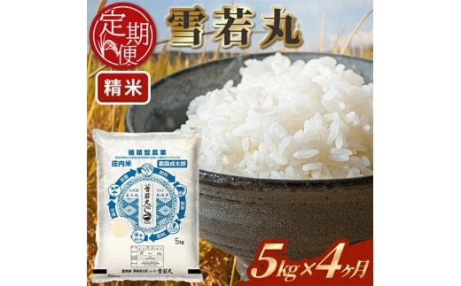 ≪4ヶ月定期便≫ 雪若丸 精米 5kg×4ヶ月連続 計20kg 令和7年産 山形県産 毎月下旬にお届け 白米 庄内米 米 ごはん ご飯 酒田市 庄内 山形県 東北 定期便 4回 農園貞太郎　SI0055