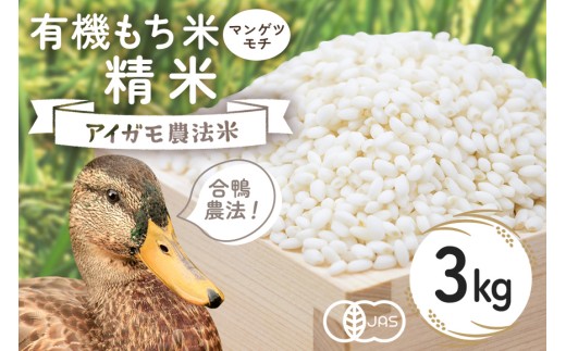 有機もち米（マンゲツモチ）精米　3kg お米 米 白米 もち米 ご飯 ごはん 国産米 産地直送 茨城県 石岡市 B03-014