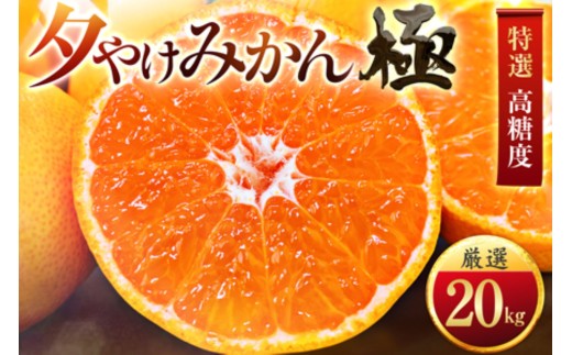 ＜甘みが濃縮されたみかん＞愛媛で育った夕やけみかん＜極＞20kg＜H49-29＞【1508883】 YWTZ021
