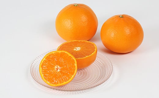 岩尾農園の温室栽培せとか 特選 約1.5kg 先行予約 柑橘類 みかん ミカン ＜066-003_5＞