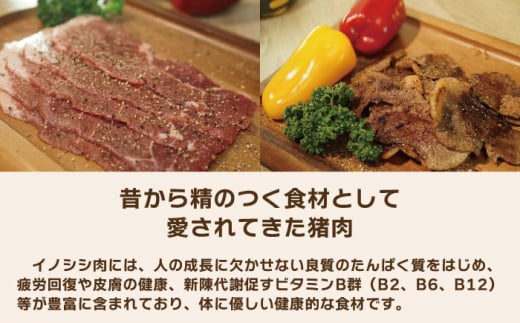 【6回定期便】ジビエ 天然イノシシ肉 切り落とし1kg（ぼたん鍋・煮込料理・野菜炒め用等）【照本食肉加工所】[OAJ020] / 猪 猪肉 いのしし肉 イノシシ イノシシ肉 ジビエ いのしし 長崎県猪