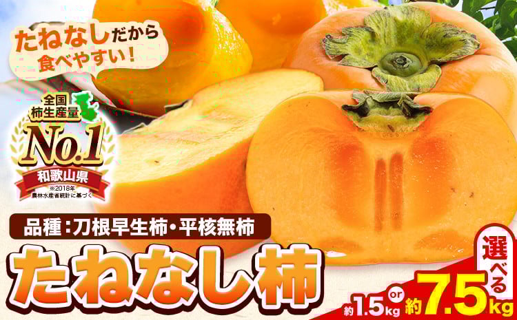 
            たねなし柿（刀根早生柿・平核無柿）約1.5kg ～ 7.5kg 《2025年9月中旬-11月上旬頃出荷(土日祝除く)》 和歌山県 岩出市 種なし柿 柿 果物 フルーツ 2L～Mサイズ カキ 
          