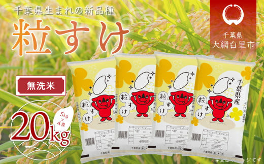 【新米先行受付】令和6年産 千葉県産「粒すけ」20kg無洗米（5kg×4袋）  お米 無洗米 20kg 千葉県産 大網白里市 粒すけ 米  こめ 送料無料 A046