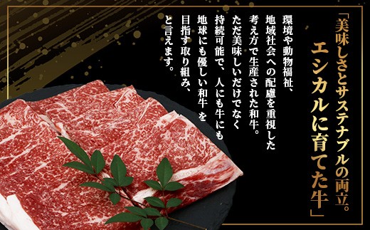 くまもとあか牛 モモ焼肉用 600g 