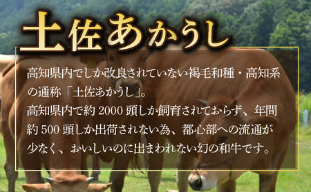 土佐あかうしと四万十ポークのハンバーグ　５個セット _yj070