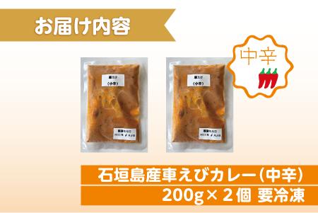 石垣島産車えびカレー（中辛）【冷凍 2食】石垣島のカレー専門店が作るご当地カレー　SK-12 石垣島産車えびカレー(中辛)2食