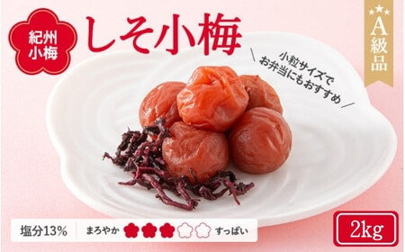 紀州小梅　しそ小梅（塩分13％）　2kg  / 田辺市 紀州南高梅 南高梅 梅干し 梅干 梅  肉厚 お米 おにぎり 焼酎 梅酒 健康 小梅 【ske039-2】