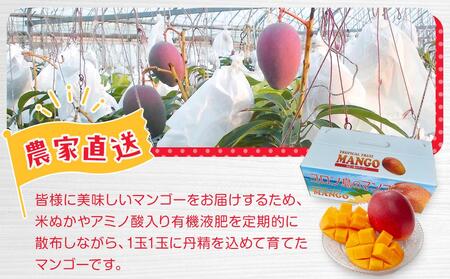 与論島産　島っ娘マンゴー（優品）1kg　2～3玉　糖度13度以上【先行予約：2025年7月上旬以降発送】| マンゴー 与論 マンゴー 人気 1kg マンゴー 与論島 マンゴー